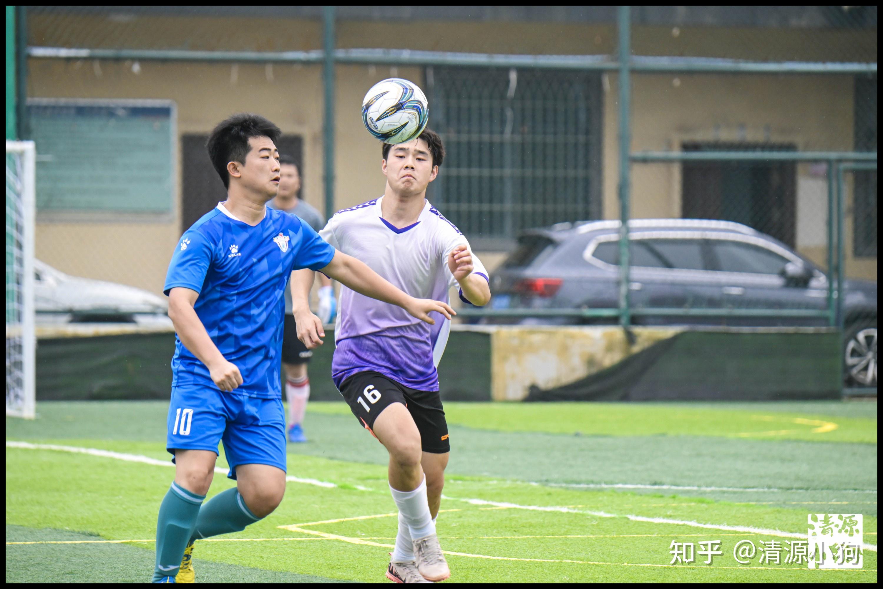 不同风格的 不同风格的