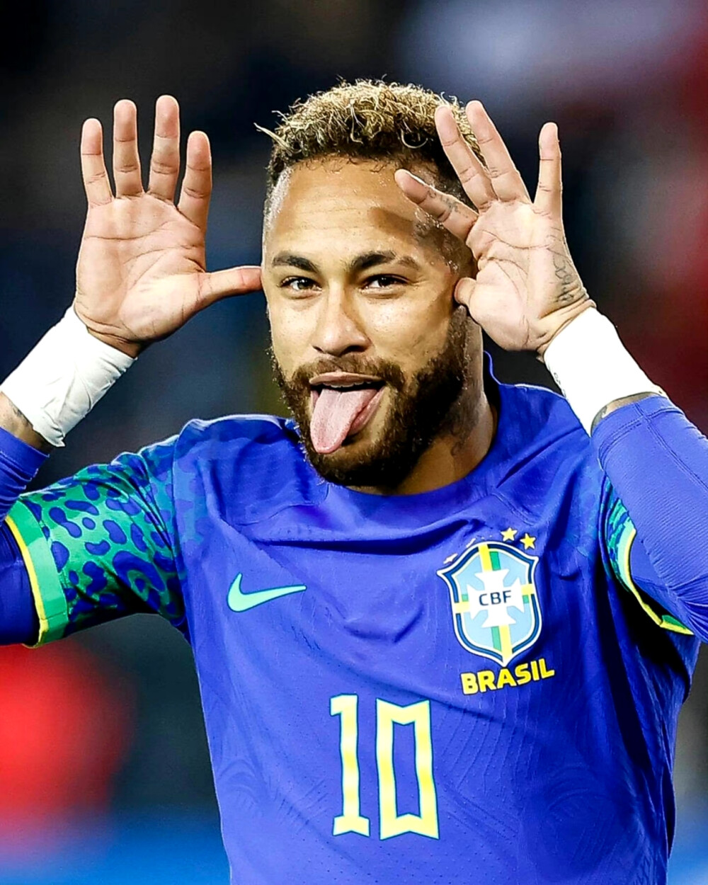 如果不尽快 如果不尽快